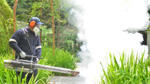 Best Pest Exclusion Services  in Sebastopol, CA